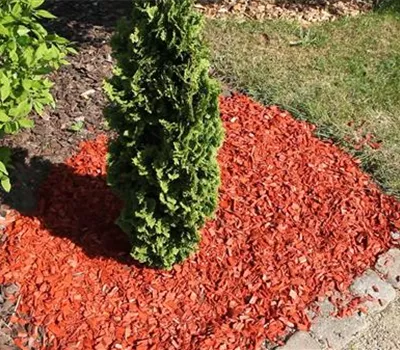 Mulch - Einsatz im Garten