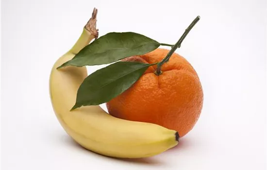 Essbanane