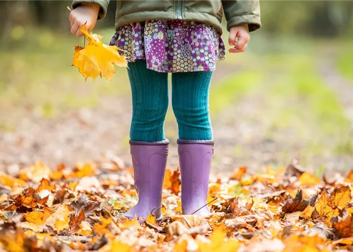 Gartenarbeit vor dem Winter - Vorbereitung für die kalte Jahreszeit