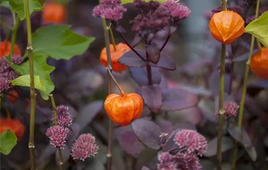 Schaurig schöne Tischgirlande aus Physalis